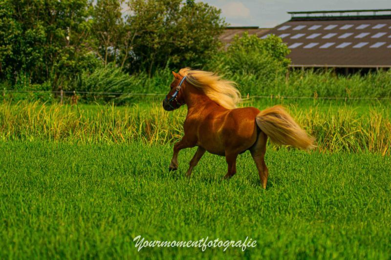 DSC_0057
