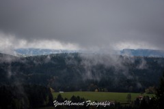 DSC_8405